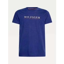 TOMMY HILFIGER - T-shirt con stampa grafica MW0MW22168 DY4